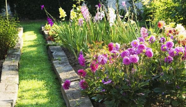 photo-fleurs.jpg | © jardin