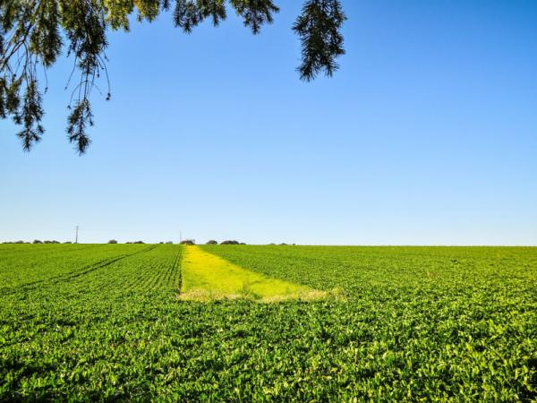 Noyers-Bocage | © G. JONET - OT Bocage Normand