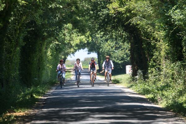 Ve?lo Bessin LocVe?lo copyright Arnaud Gue?rin - Lithosphe?re (19 sur 21) | © Arnaud Gurin - www.arnaudguerin.com